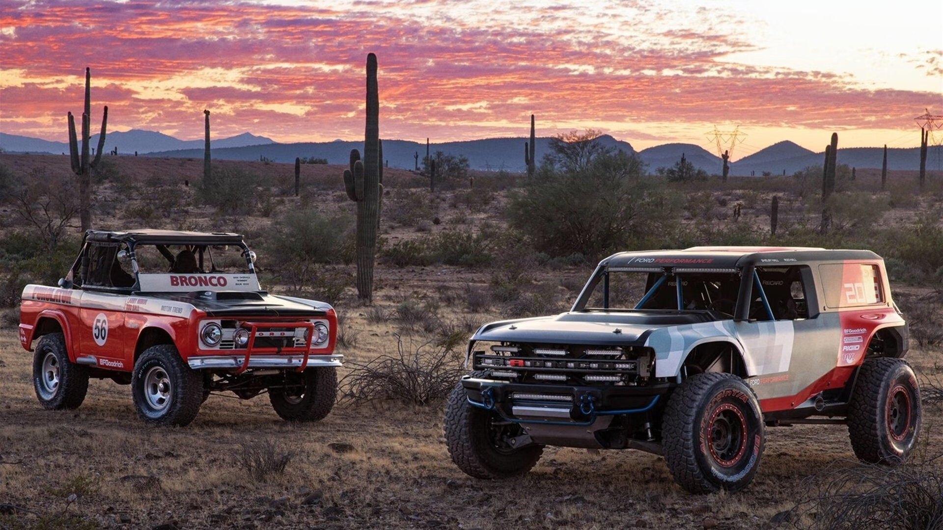 《女性电竞崭露头角：赛场精彩不断》，女子电竞什么意思
