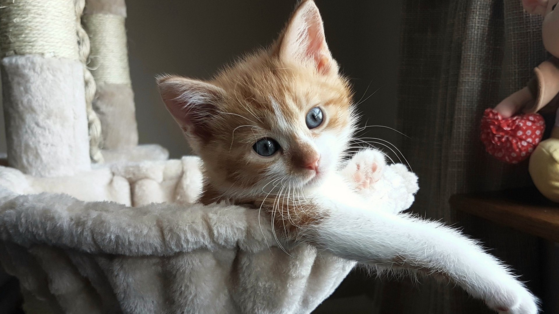 伤病管理：新技术怎样帮助球员保持巅峰？，伤病的球员