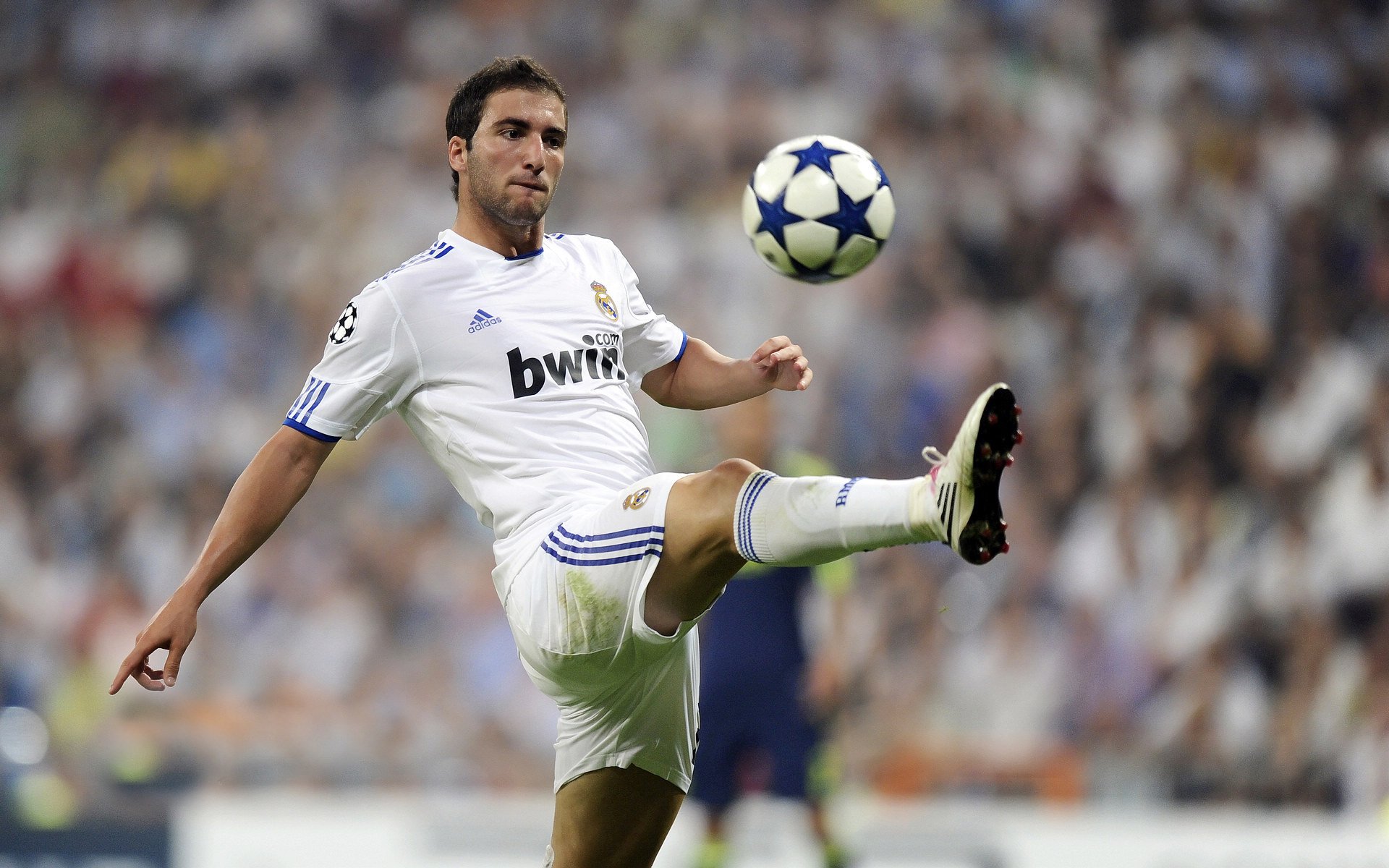 开云体育官方下载-“费尔南多·比亚尔巴：阿根廷美洲狮队的精准指挥官”